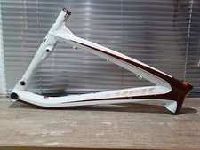 2009 Trek Remedy 8 - Main