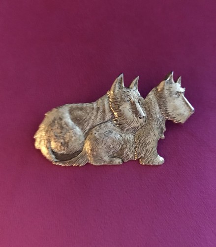 Adorable scotty dog - dog, couple