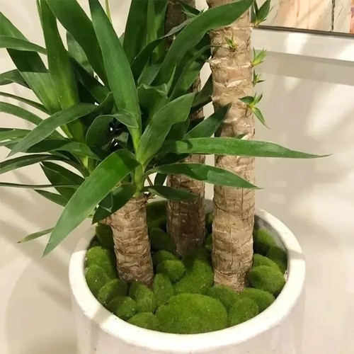 10pcs artificial moss stones - 10pcs,