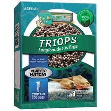 Triops Longicaudatus Eggs Pure 200 Eggs For Hatching and Culture