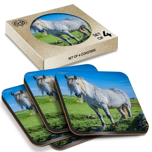 Boxed square coasters - square,