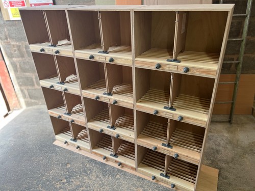 Premium young bird pipo - young, boxes
