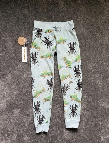 Mini rodini insects bugs - insects,
