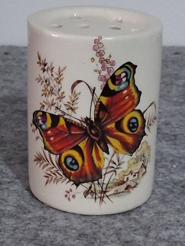 Rare sallie robinson cylinder - rare,