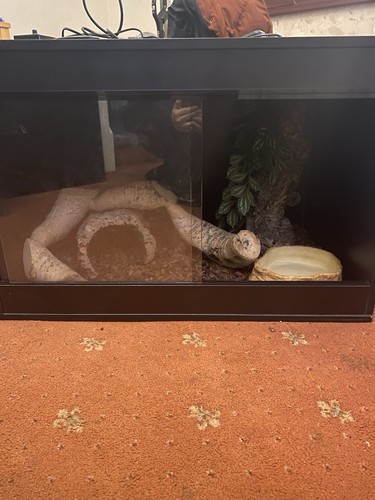 Reptile enclosure heat lamp - enclosure,,