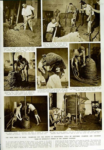 Old vintage print 1950 - old,