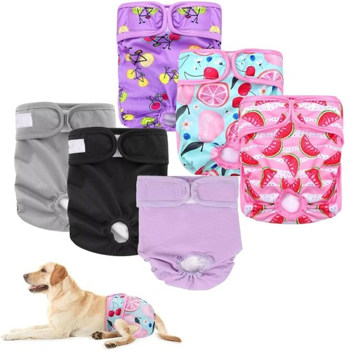 Female dog pet season heat - dog,