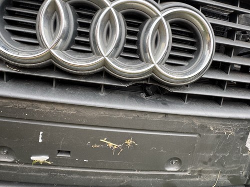 Audi cabrio 2004 08 - b7, 2004-08