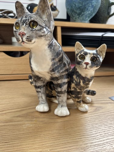 Winstanley size cats - 7,