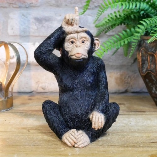 Little loser monkey - little, chimp