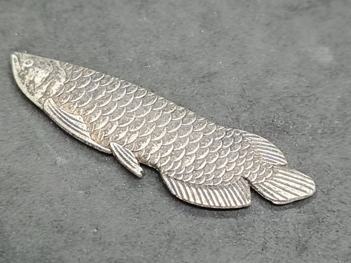 Lucky arowana fish - feng, shui