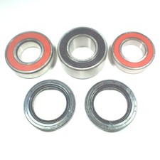 Wheel Bearing And Gasket Kit