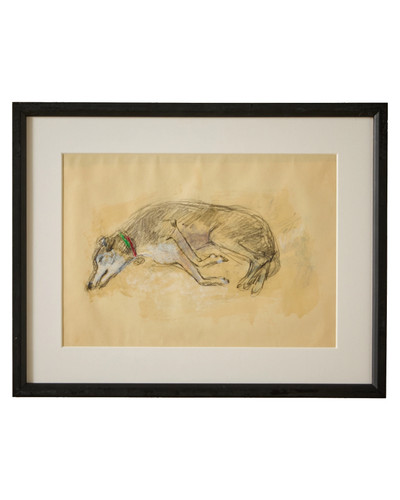 Sleeping greyhound iii - greyhound,