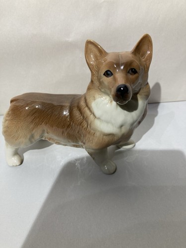 Corgi dog type ornament - dog, in
