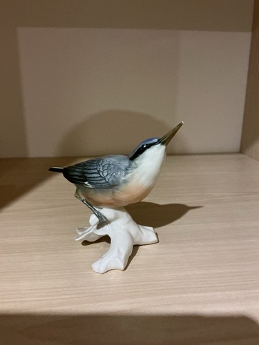 Karl ens nuthatch - karl,