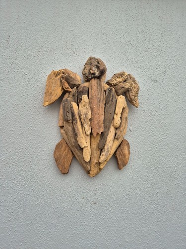 Handmade driftwood turtle wall - driftwood,