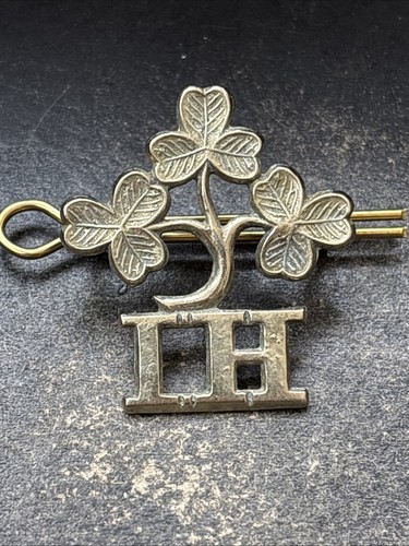 Irish horse 29th - horse,