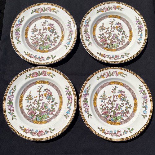 Washington indian tree - set, of