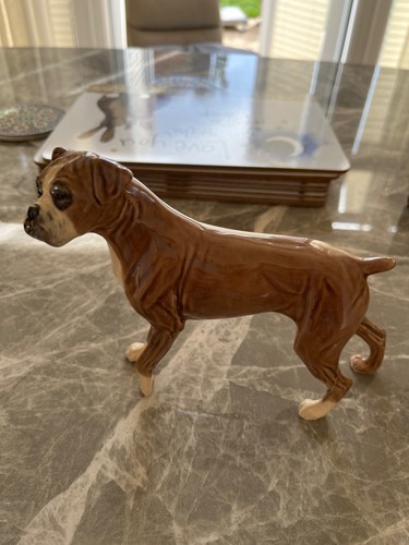 China boxer dog the - china,