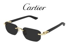 CARTIER CT0622S 001 Gold and