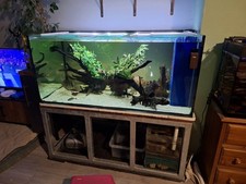 Large Fish Tank Aquarium