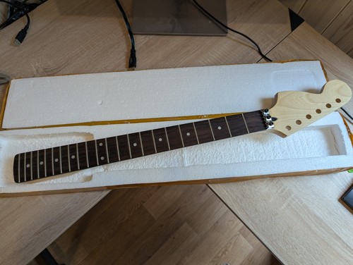 Stratocaster style reverse - stratocaster,