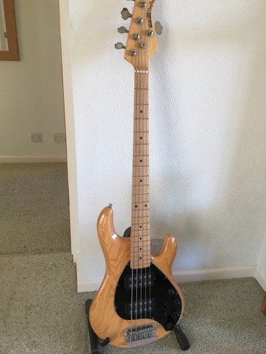 Ernie ball musicman stingray - ball,