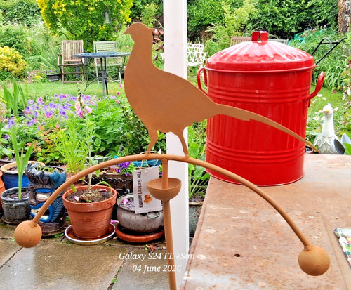Pheasant balance wind vane - pheasant, wind-vane