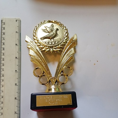 Pigeon racing trophy - pigeon,