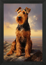 Airedale Terrier Portrait