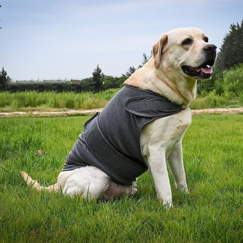 Pet emotional dog clothing - dog,