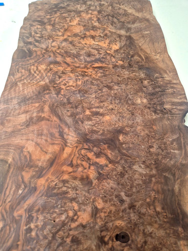 Burr burl walnut veneer - walnut,