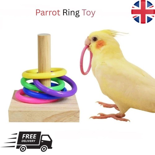 Wooden interactive parrot ring - interactive,