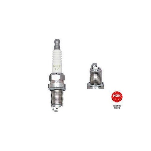1269 ngk spark - ngk, plug