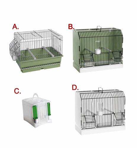 Bird travel transport carry - bird,