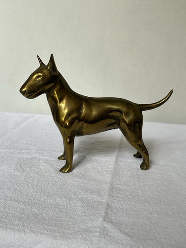 English bull terrier dog - english,