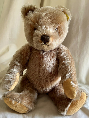 Steiff vintage teddy bear 50s - teddy,