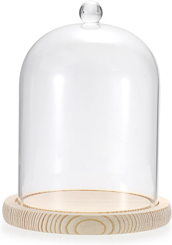 Sumnacon glass display cloche - display,