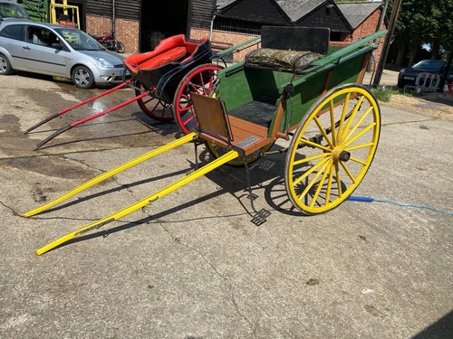 Horse cart - horse,