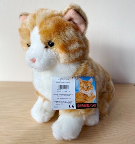 Ginger cat hand - cat,