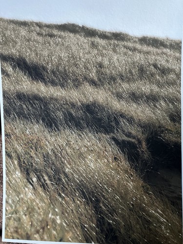 India hobson dunes print - ,
