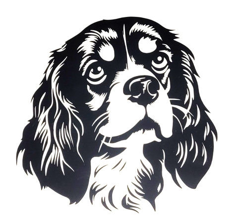 Cavalier king charles dog - king,