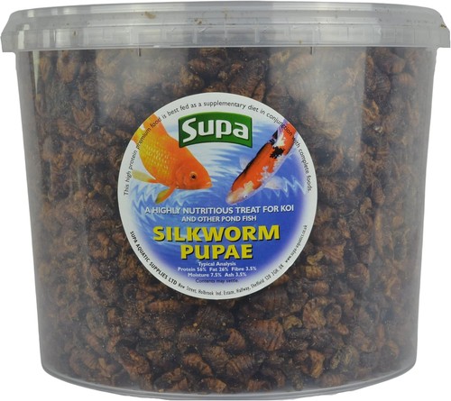 Supa koi silkworm pupae - supa, pupae,