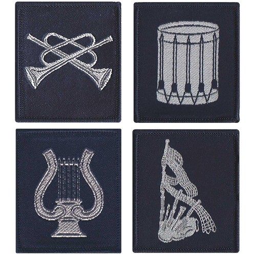 Atc regional musician - regional,