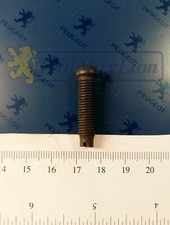 Peugeot D3 D4 203 403 404 J7, 504 & 604 tumbler adjustment screw except V6, 505 P4