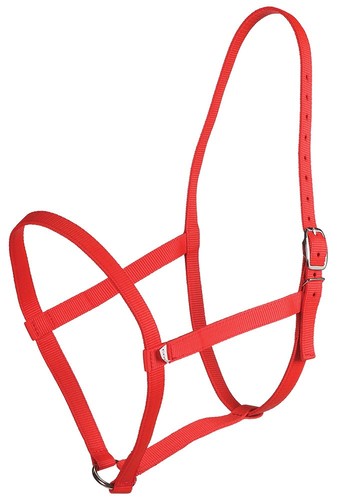 Webbing underhalter under - webbing,