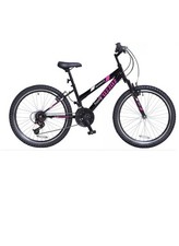 Pazzaz Indiana 24 Inch Wheel