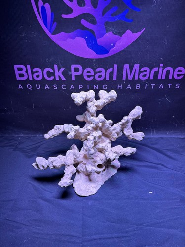 Bpm scape nano 072691 - scape, |nano|