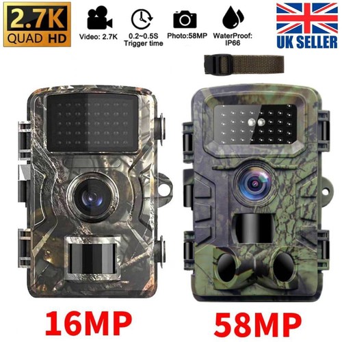 Wildlife trail camera 1080p - trail,