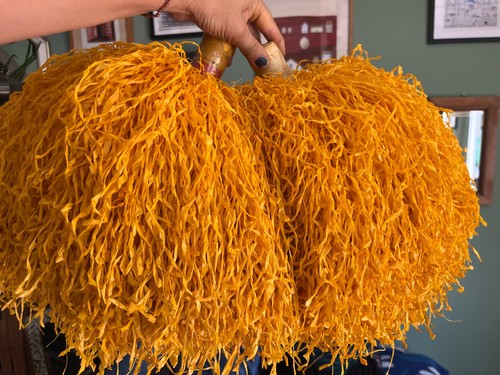 Vintage cheerleader pompoms - vintage,
